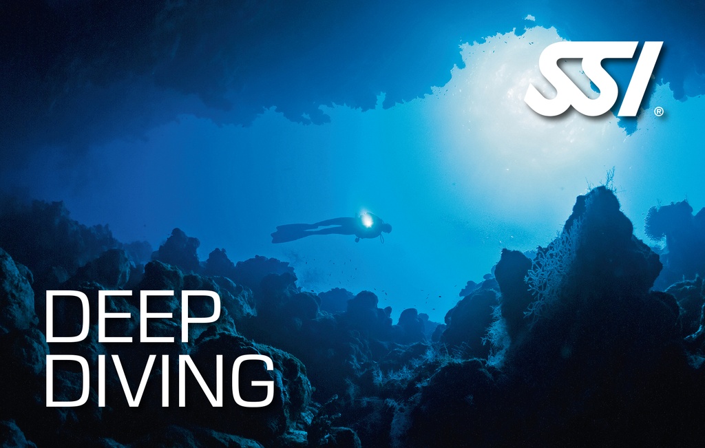 [SSI93700559] Deep Diving