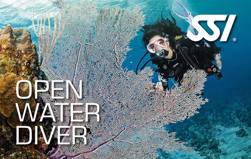 [SSI93700550] Open Water Diver